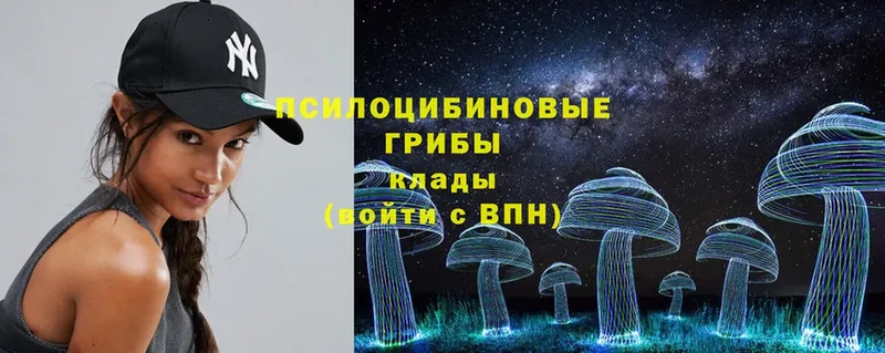 Галлюциногенные грибы Psilocybine cubensis Очёр